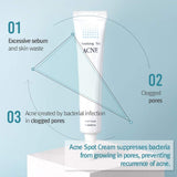 Pyunkang yul Acne Spot Cream  0.50 Fl. Oz,15ml