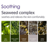 Petitfee Agave Cooling Hydrogel Beauty Face Mask 5 Sheets - 1.12 oz (32 g) Each