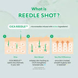 VT Cosmetic Pro Cica Reedle Shot 100 1.69Fl Oz / 50ml