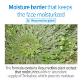 Pyunkang Yul Kids & Baby Lotion 590ml